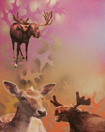 Painting 66