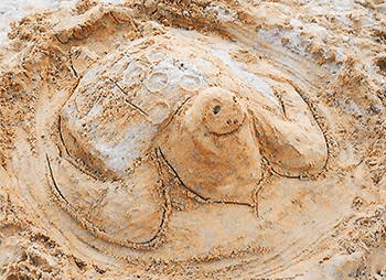 Sand Sculpture 11
