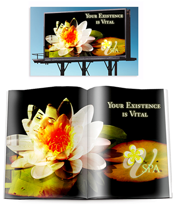 Branding Design 32