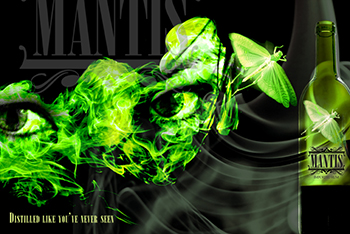 Branding Design 7