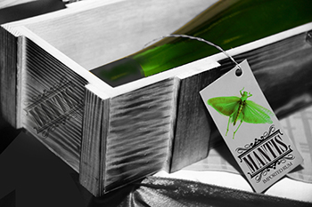 Branding Design 9