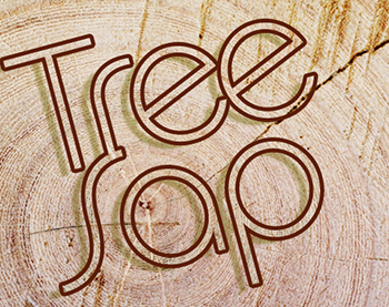 Logo Design 7