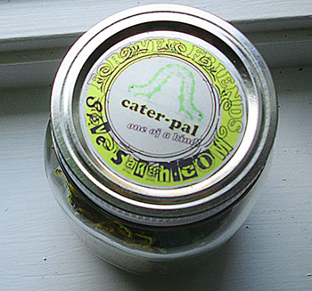 Packaging Design 1