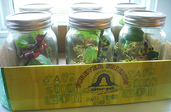 Packaging Design 4