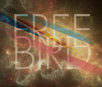 Typography Design 16