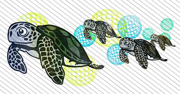Illustration II 33