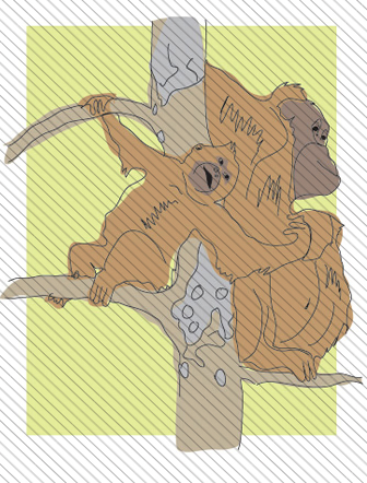 Illustration II 36