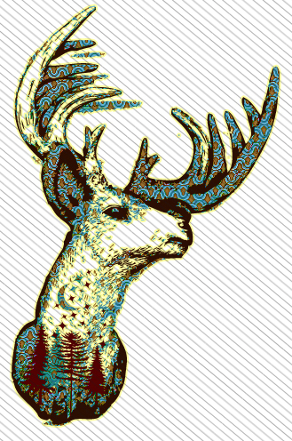 Illustration II 5